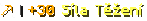 pickaxe | +30 Síla Těžení