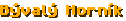Bývalý Horník