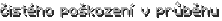 čistého poškození v průběhu