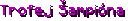 Trofej Šampióna