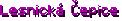 Lesnická Čepice